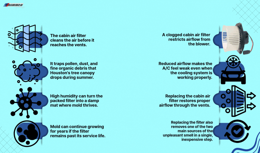 The BMW Cabin Air Filter Is Usually the Center of the Problem