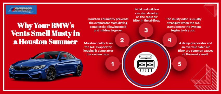 Why Your BMWs Vents Smell Musty in a Houston Summer